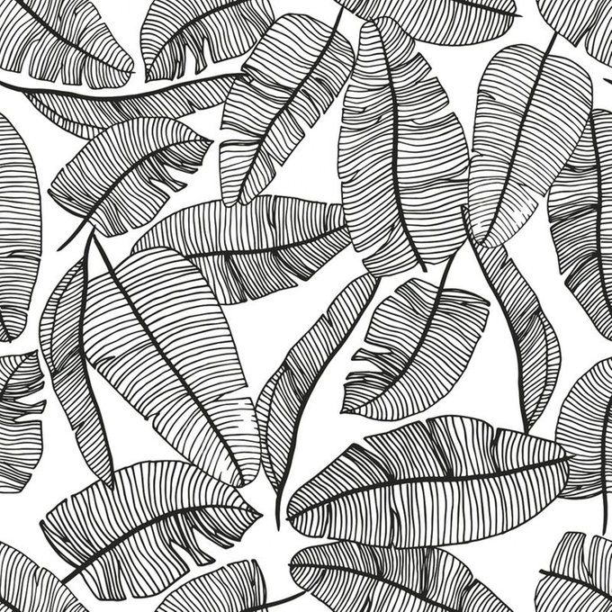 Téléchargement gratuit Images Papier Peint Feuillage Tropical Noir Et Blanc Lilipinso La Redoute dernière par