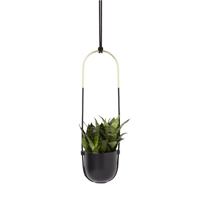 Pot De Fleur A Accrocher Au Mur Interieur Jardiniere A Suspendre Bolo Pour Mur Et Plafond En Ceramique Noir Umbra La Redoute