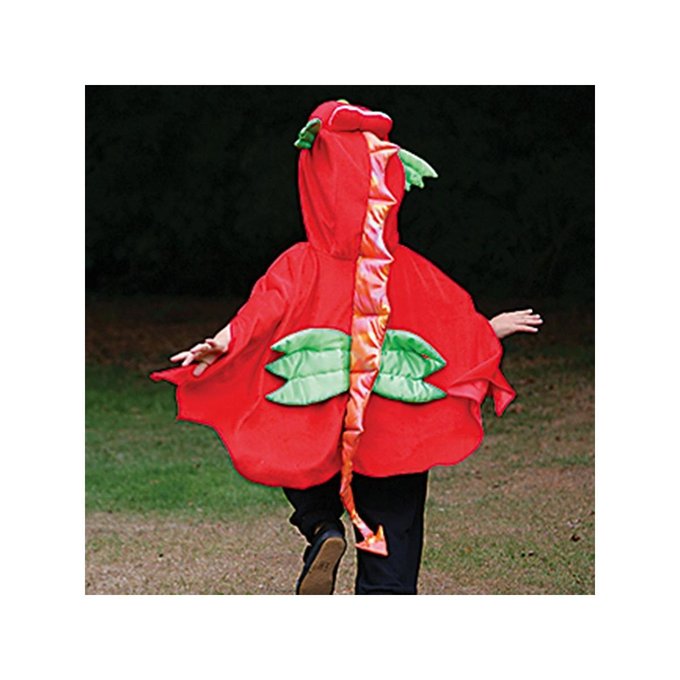 Costume Blaze Dragon Red Orange 18 A 36 Mois Funko La Redoute