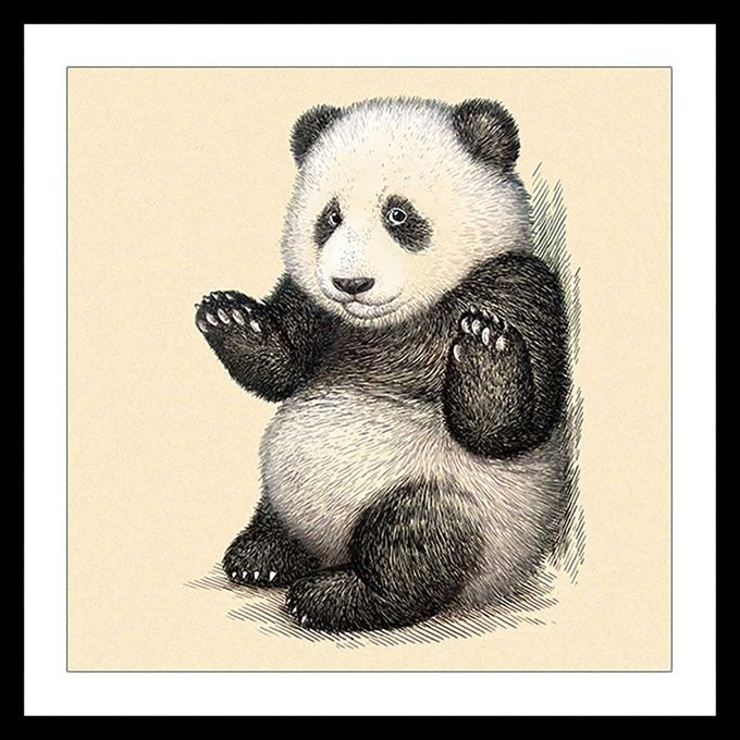 Affiche Enfant Affiche Illustration Vintage Panda Hexoa La Redoute