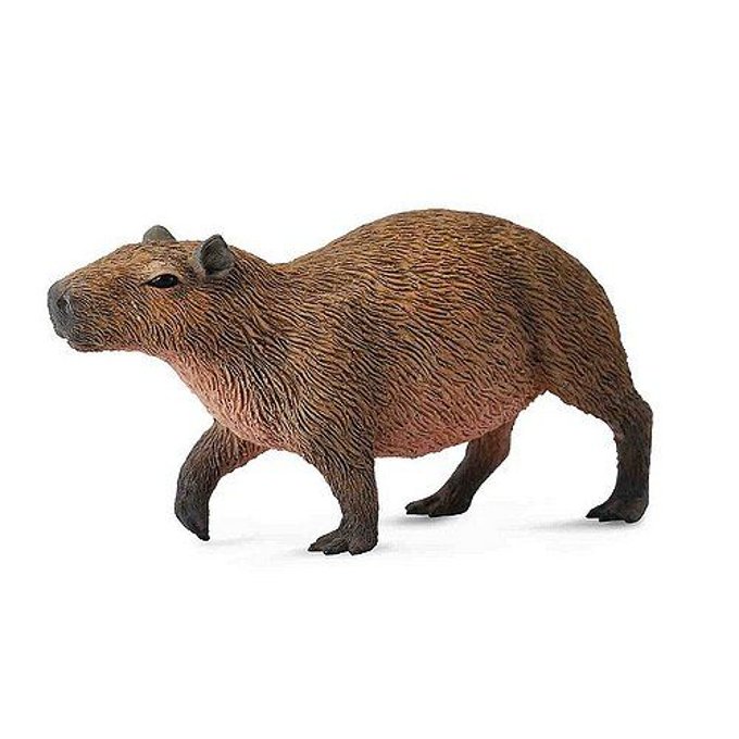 peluche capybara