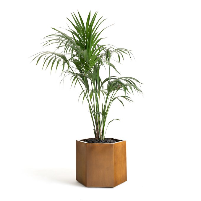 Vaso hexagonal em metal, alt. 45 cm, Botania