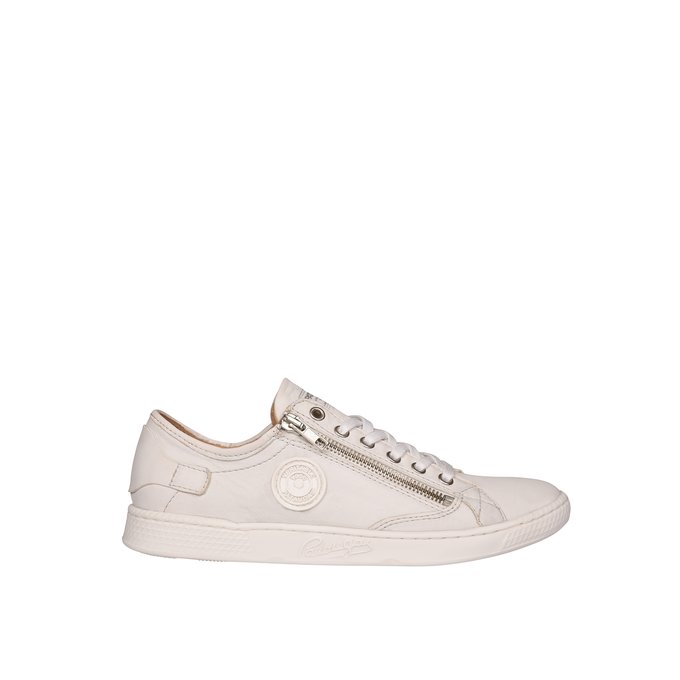 jester trainers
