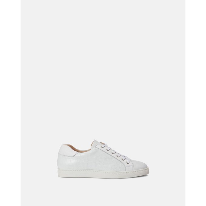 minelli sneakers homme