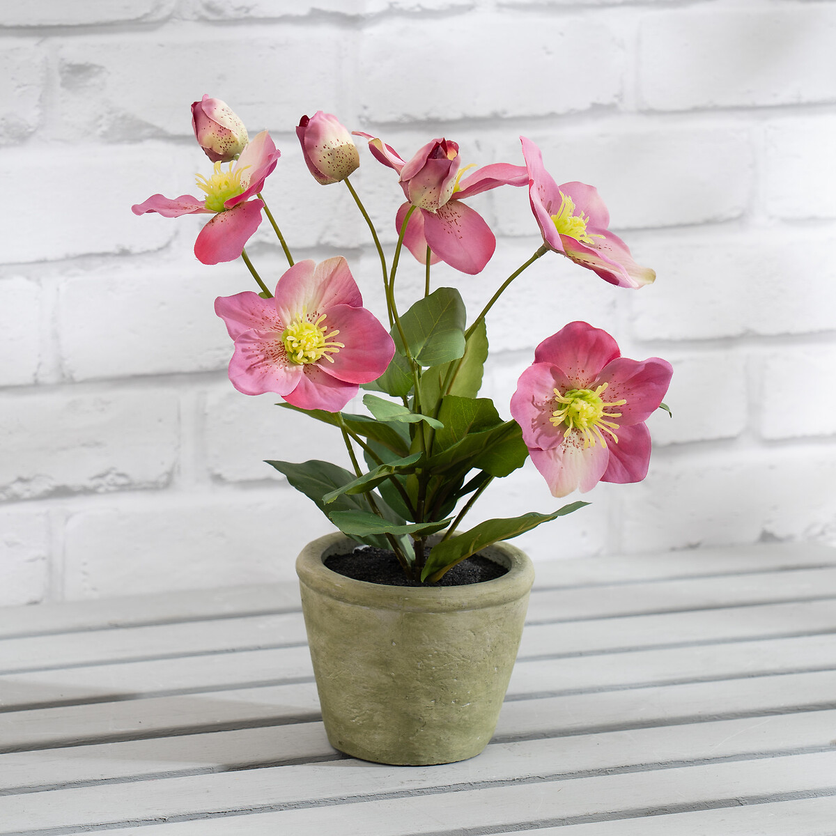 34cm Artificial Hellebore Pink in Terracotta Pot, SO'HOME