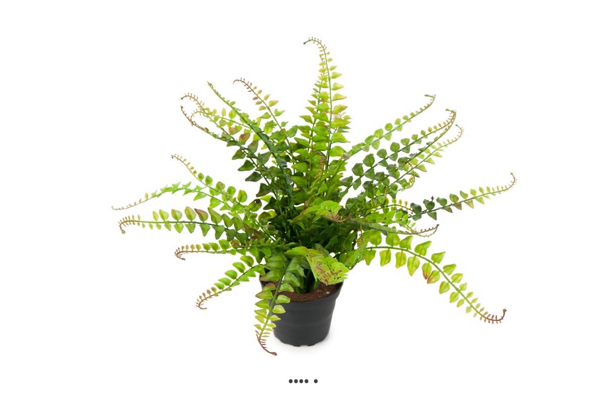Fougère Blechnum spicant artificielle en pot, ARTIFICIELLES