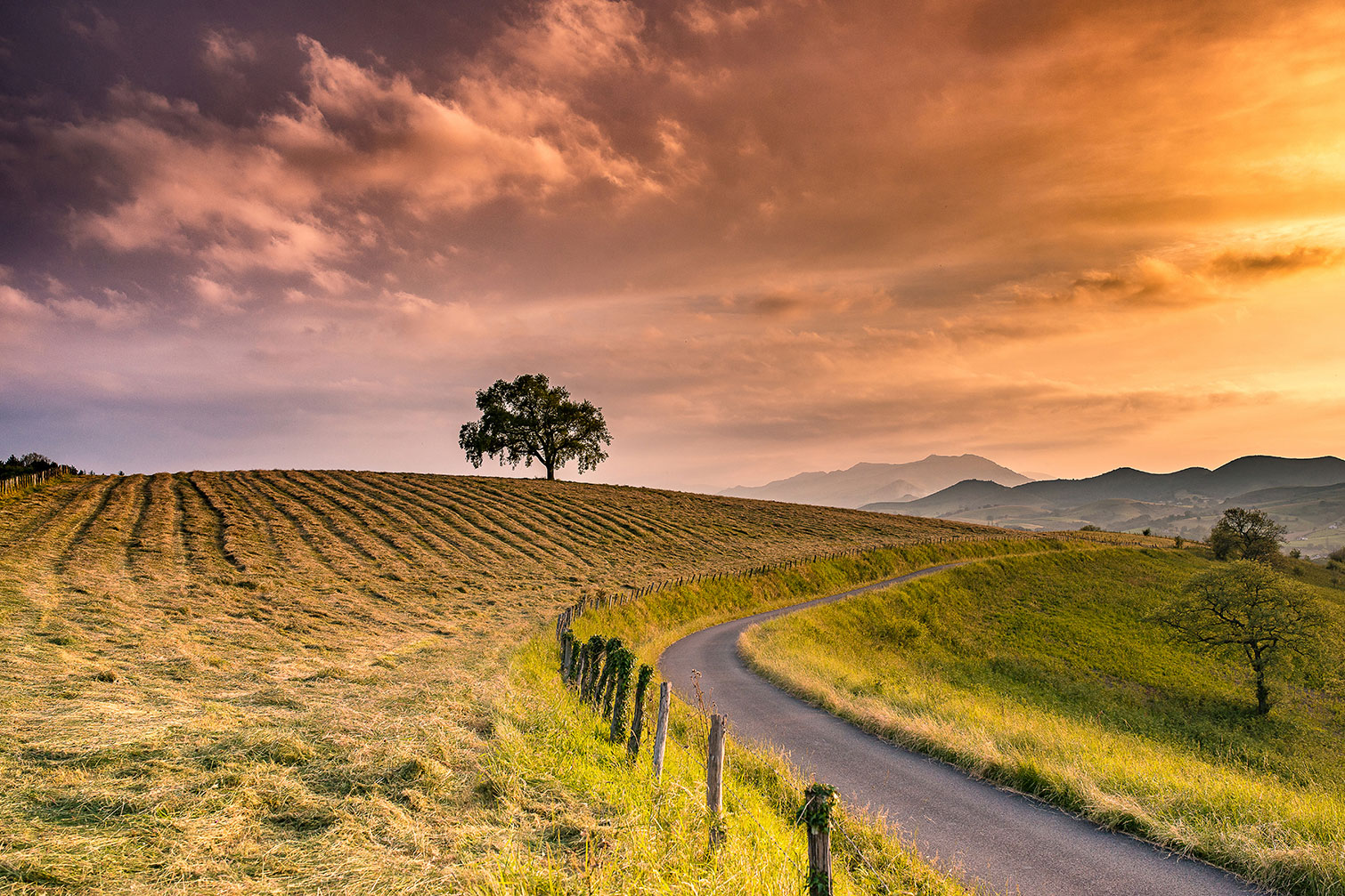Tableau paysage nature chemin des basques, HEXOA