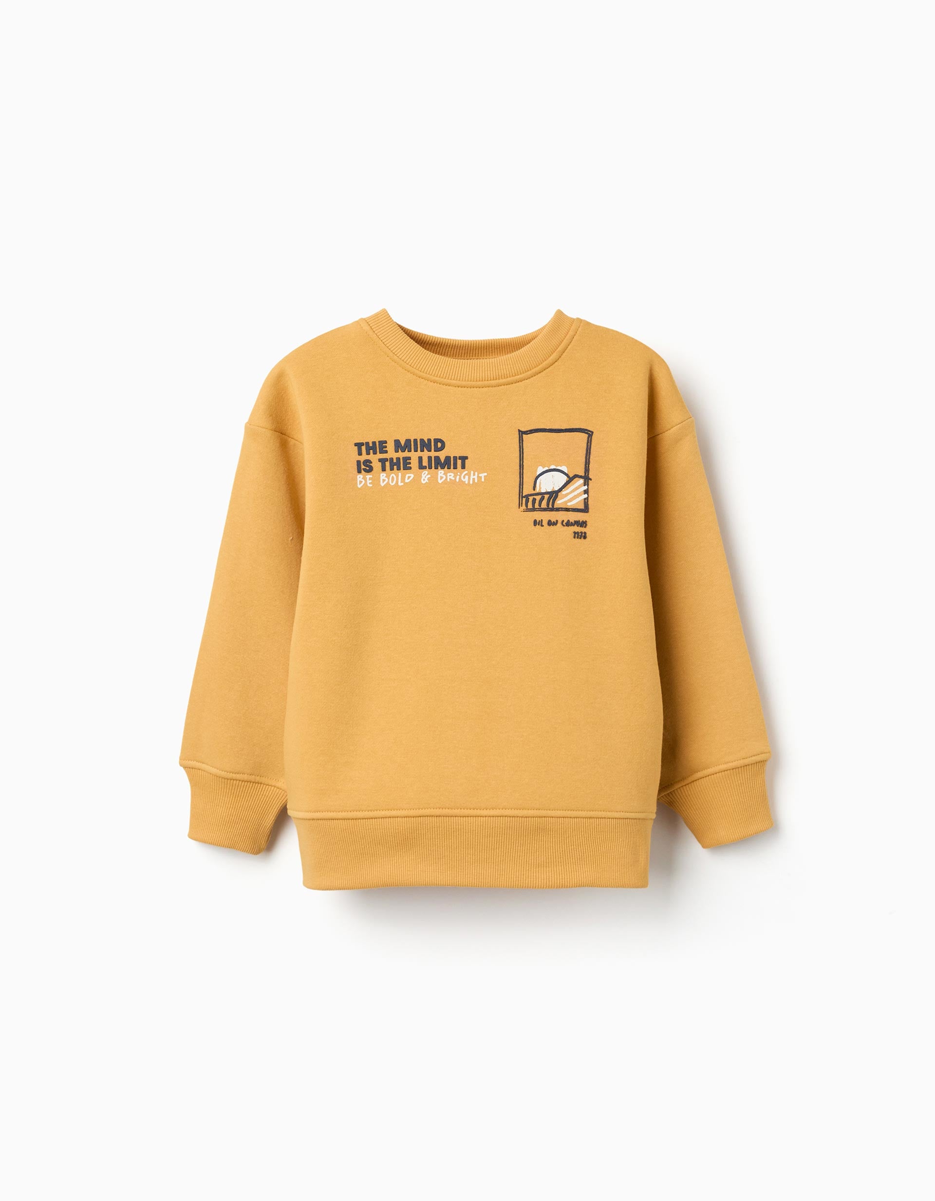 Sweat en coton peigné avec imprimé en relief, ZIPPY