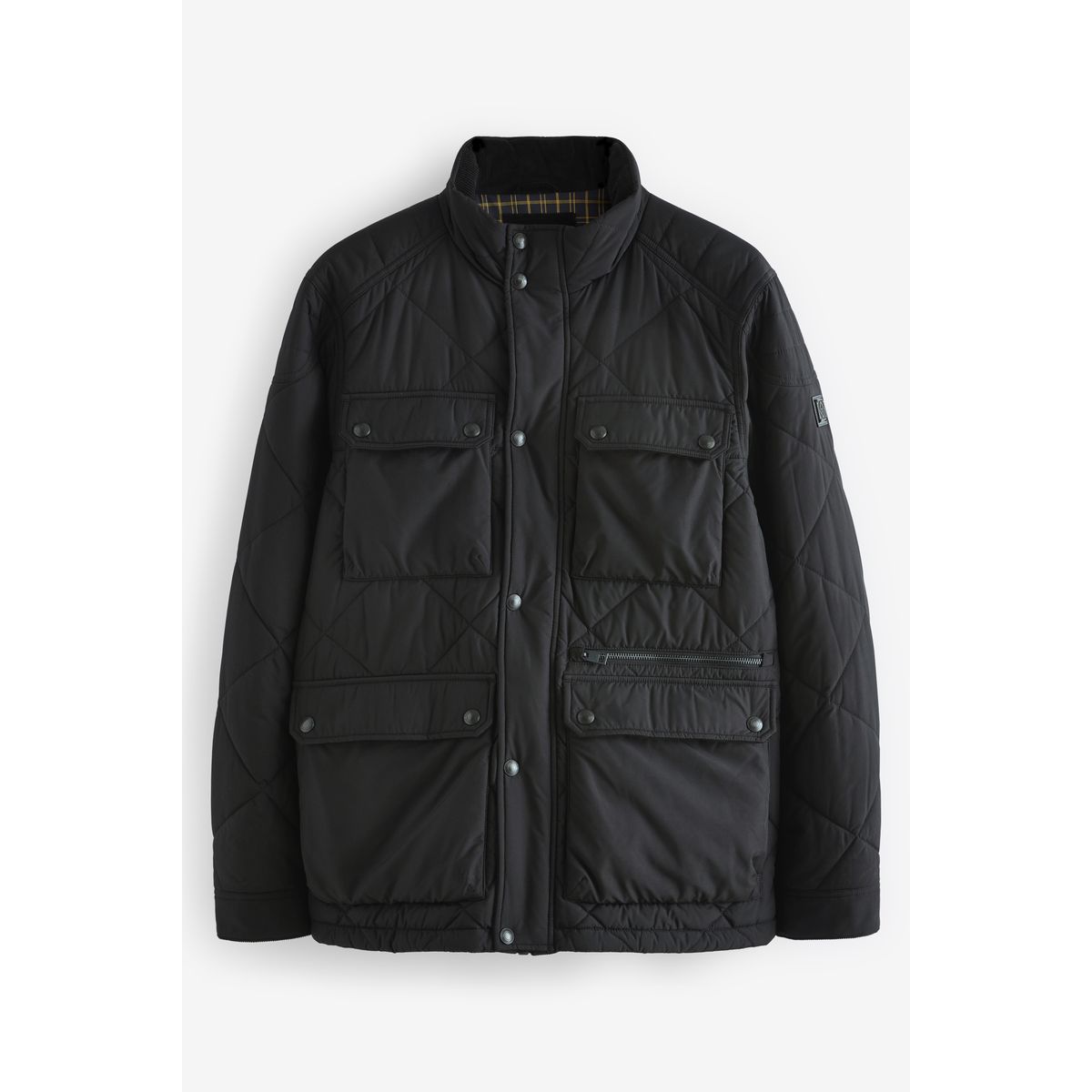 Veste motard matelassé, NEXT