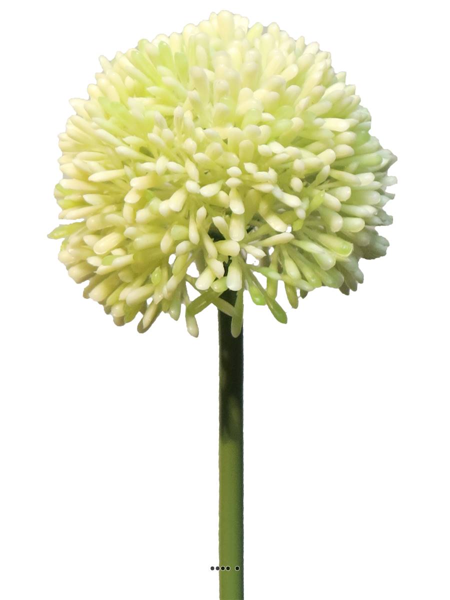 Allium artificiel en tige H 45 cm Crème, ARTIFICIELLES