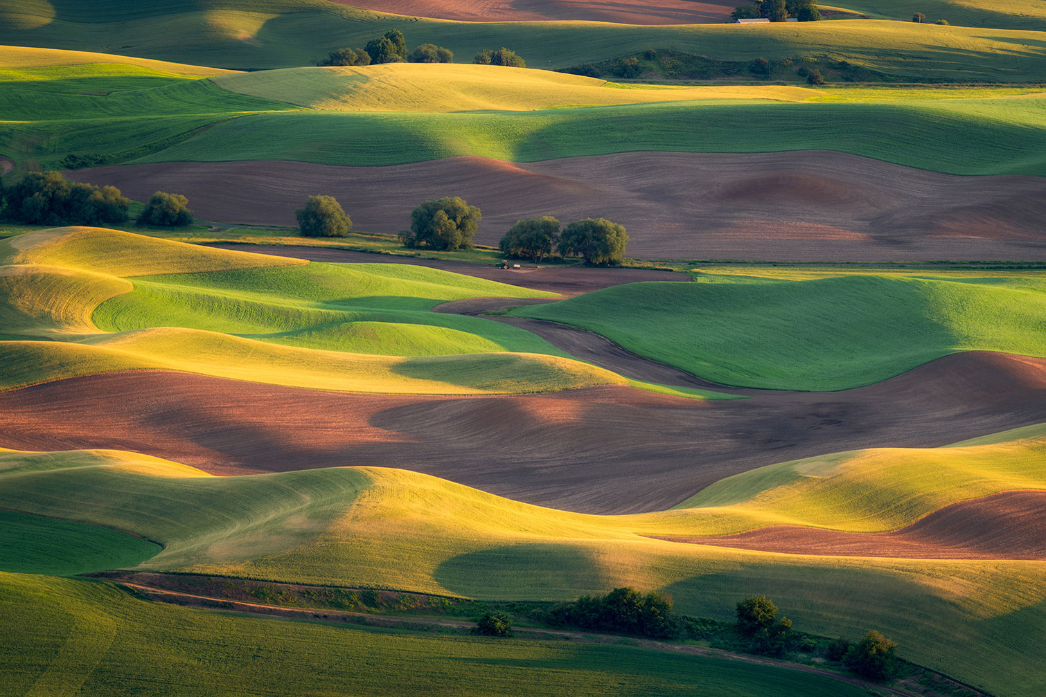 Tableau Colline colorée, HEXOA