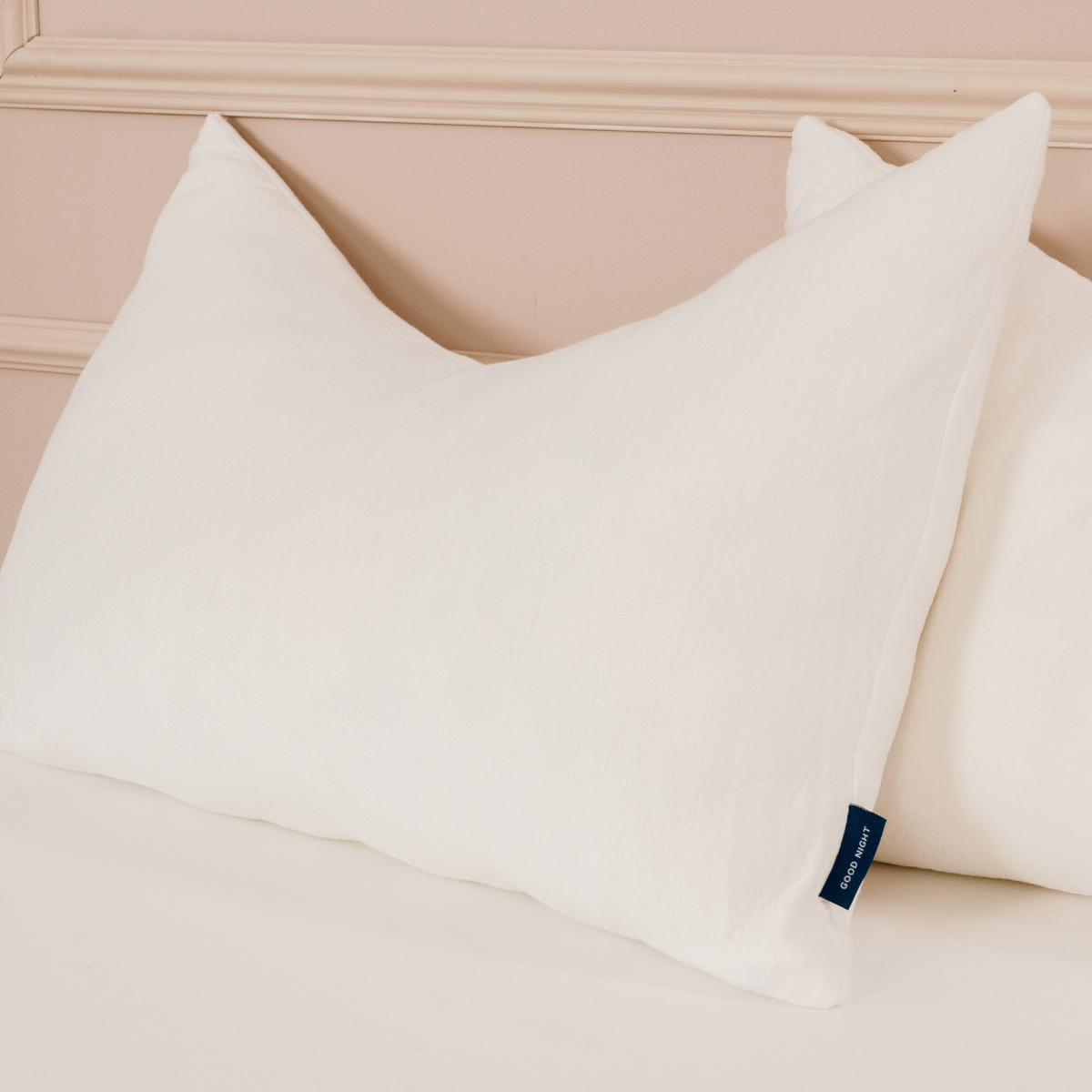 HYPNIA Oreiller à mémoire de Forme avec Traitement antiacarien X2 50 * 70