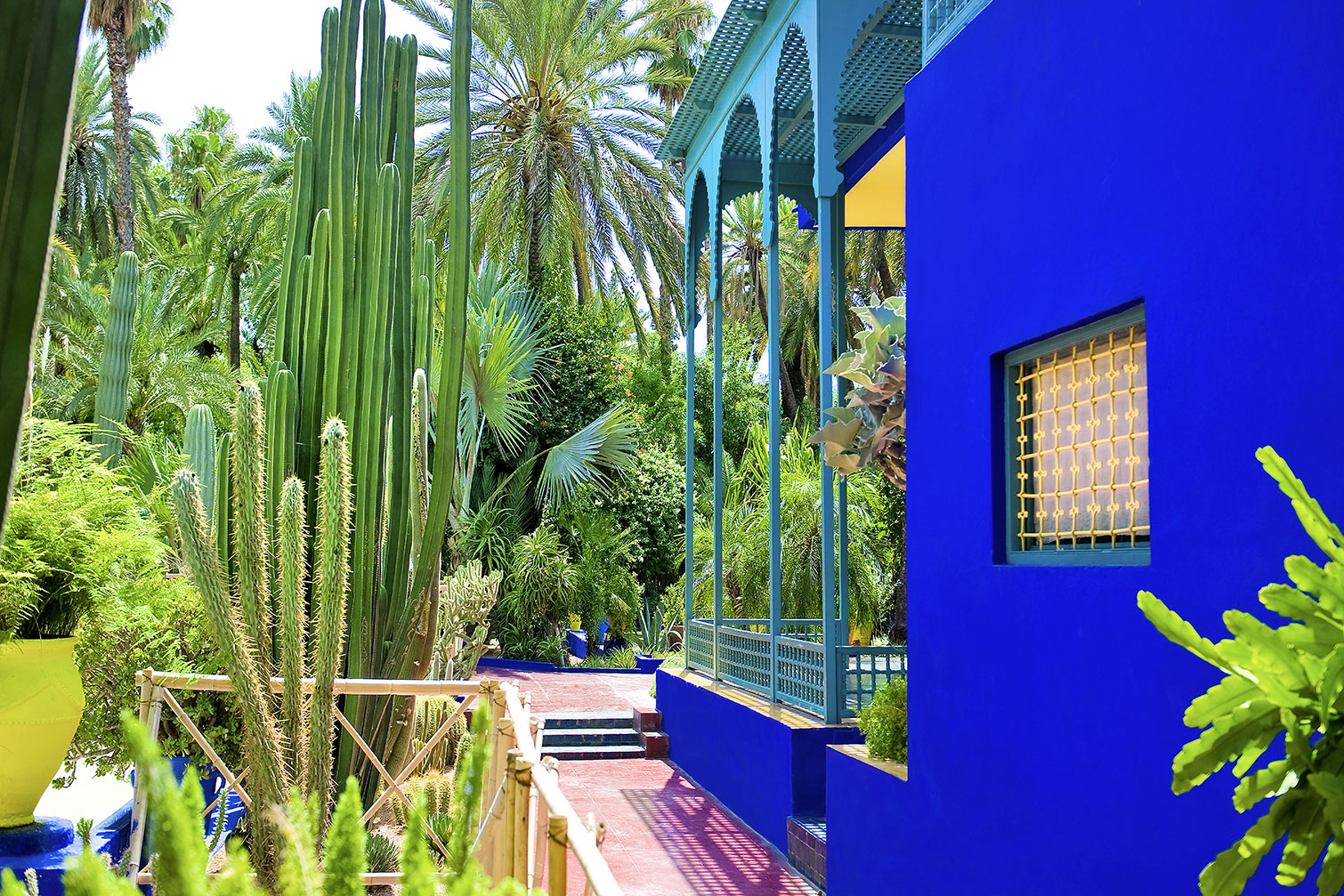 Tableau jardin majorelle, HEXOA