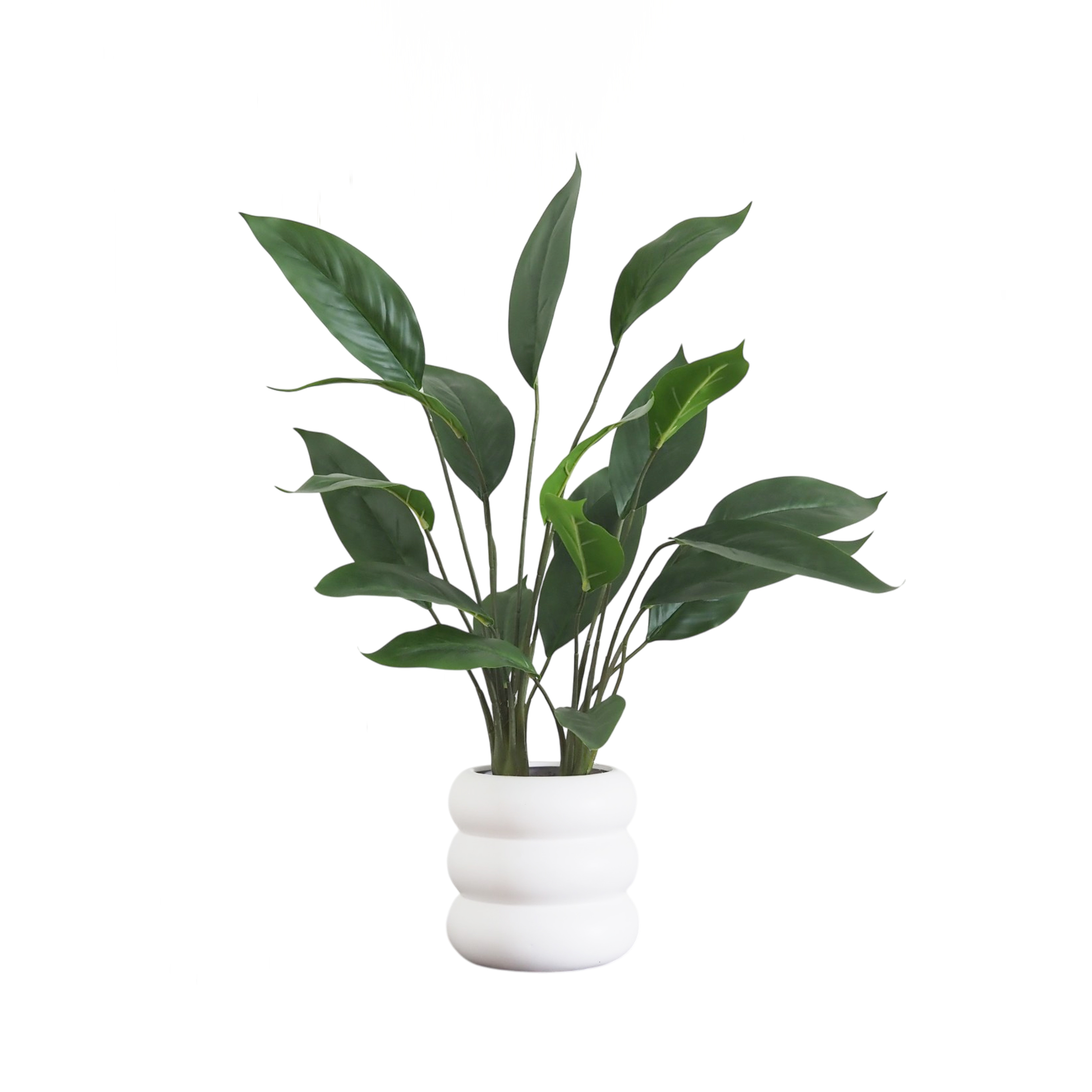 Plante artificiel philo 60cm, LIGNE DECO