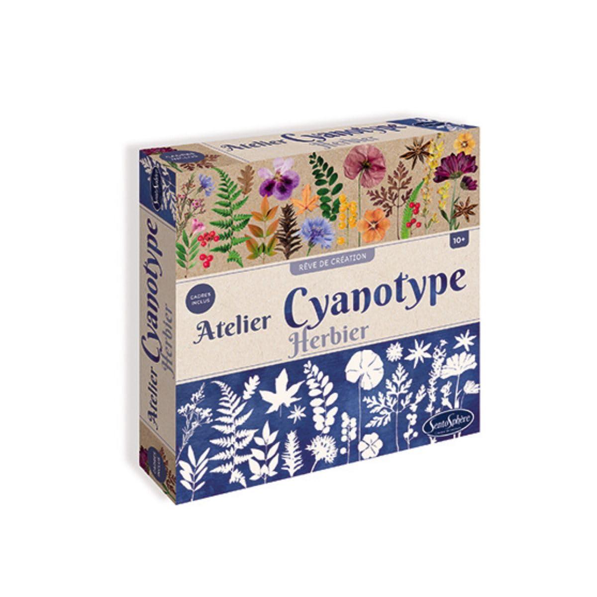 Atelier Cyanotype herbier, SENTOSPHERE