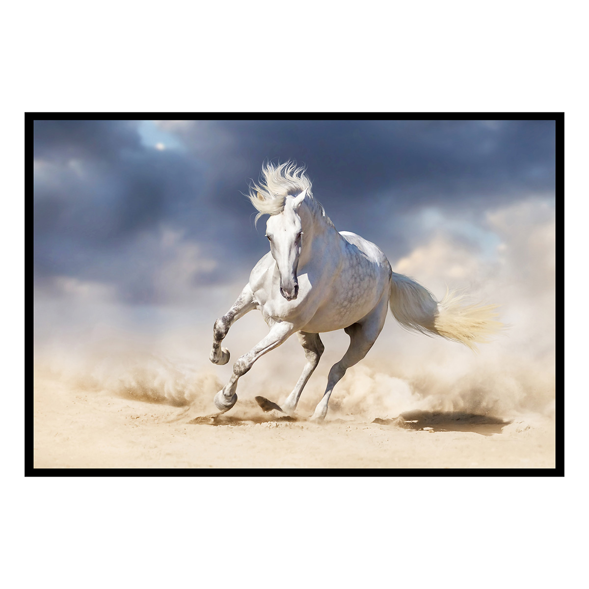 Affiche encadrée cheval blanc au galop, HEXOA