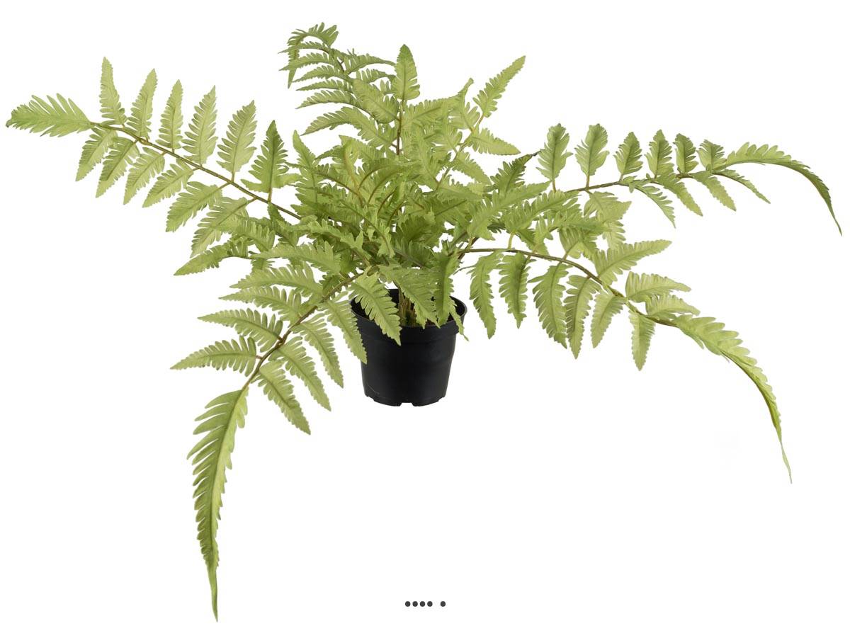 Fougère des forêts osmuda regalis artificiel, ARTIFICIELLES