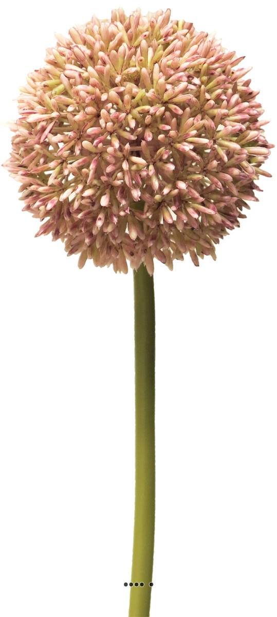 Allium artificiel en tige, spécia, ARTIFICIELLES