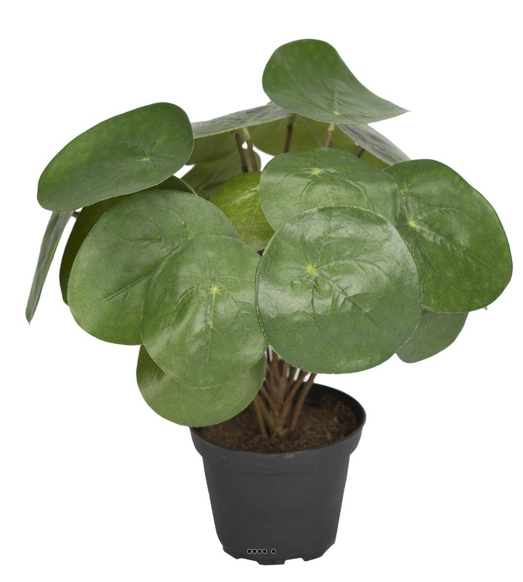 Plante Oreilles éléphant factice en pot H25cm, ARTIFICIELLES