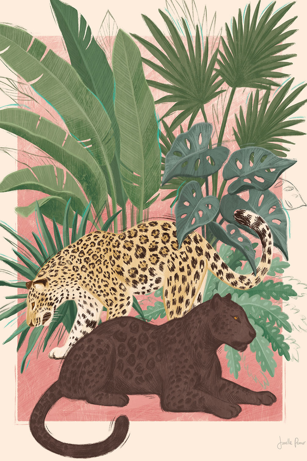 Tableau Panthers, HEXOA