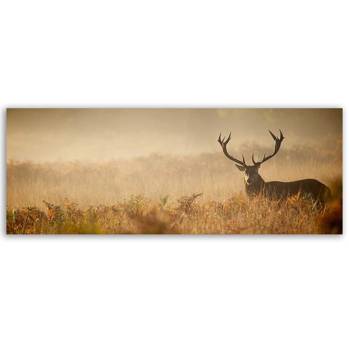 Tableau panoramique cerf majestueux dans la brume, HEXOA