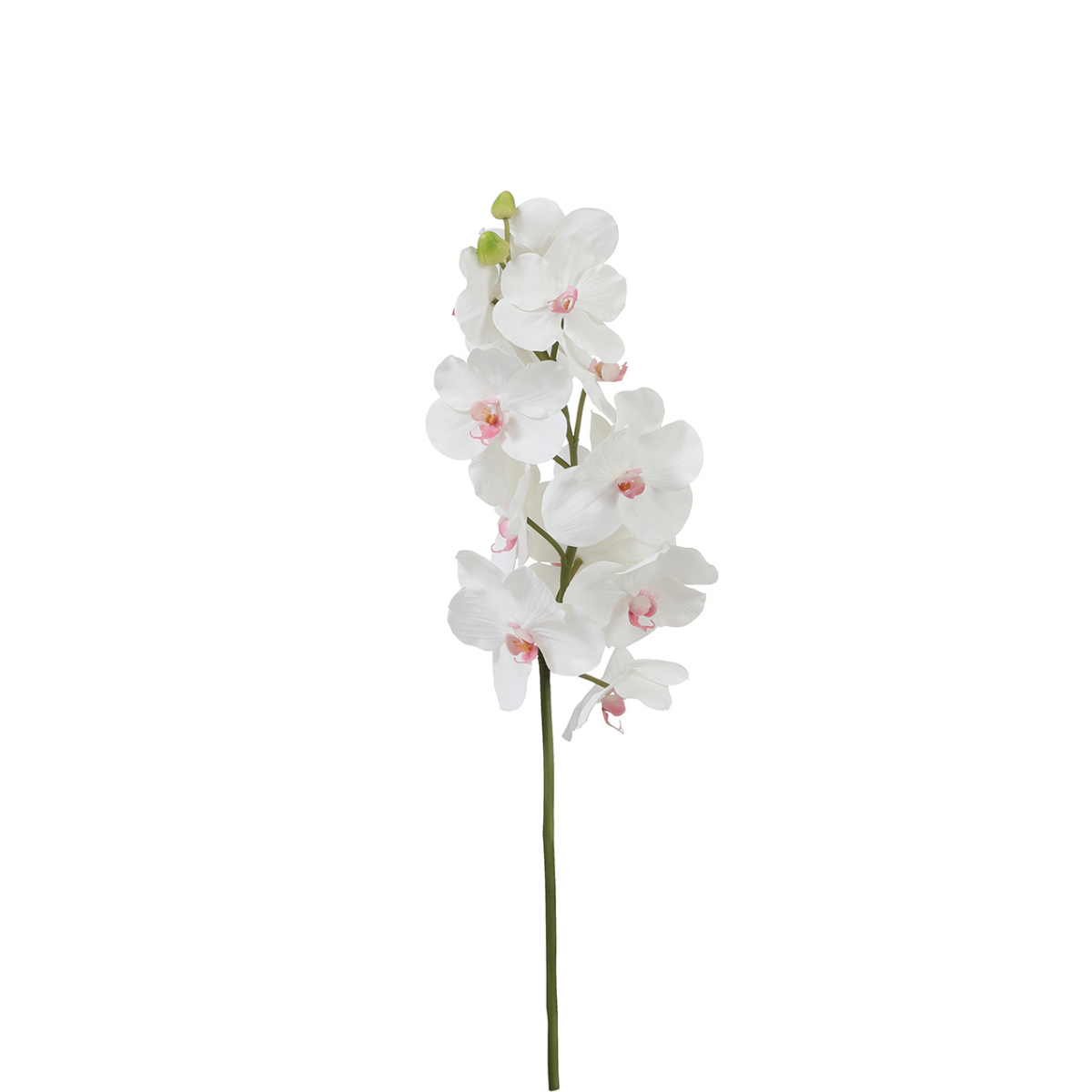 Tige d'orchidée bandailan artificielle H66, SIA DECO
