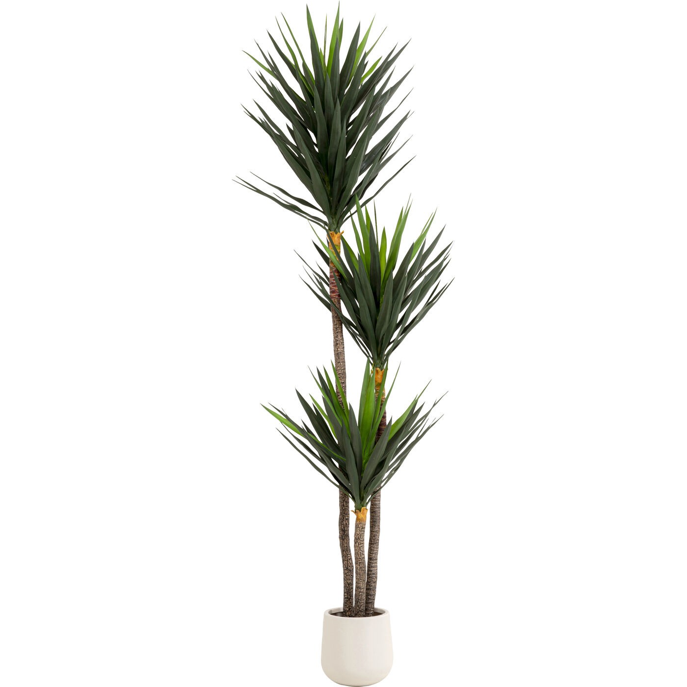 Plante décorative Yucca, KARE DESIGN