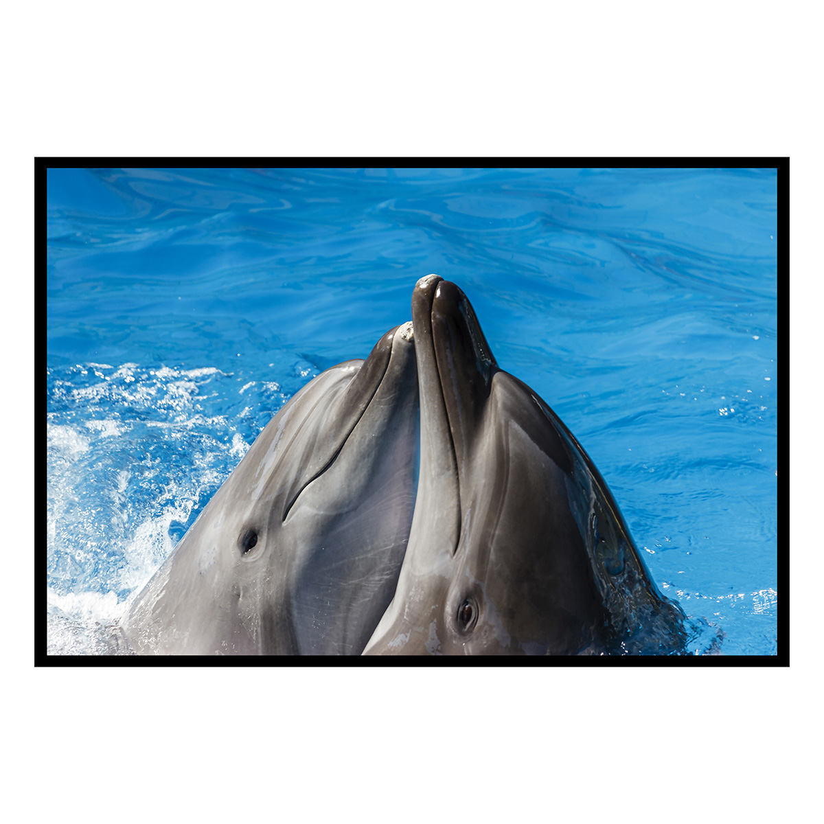 Affiche encadrée dauphins en duo dans l’océan, HEXOA