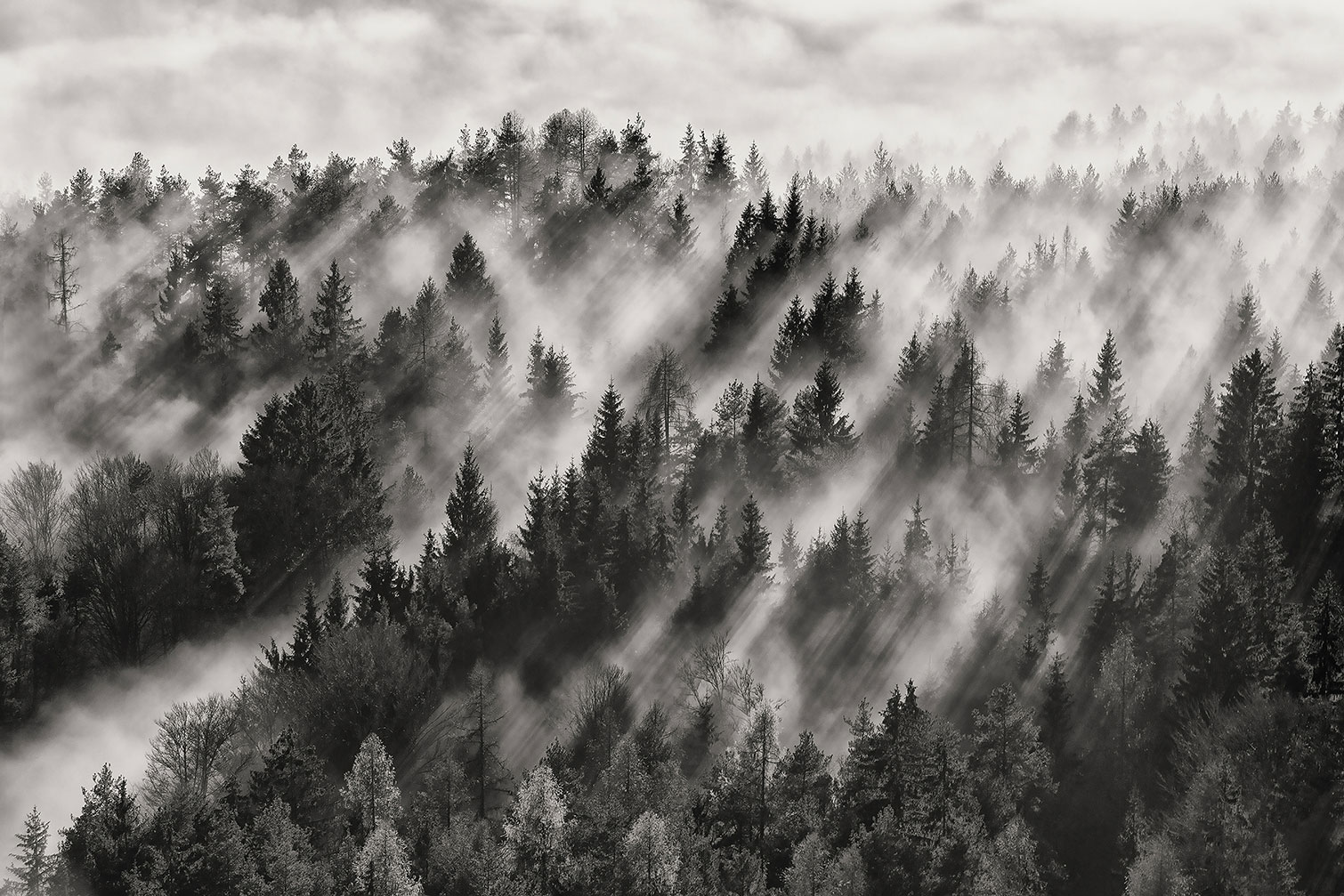 Tableau rayons de lumière, HEXOA