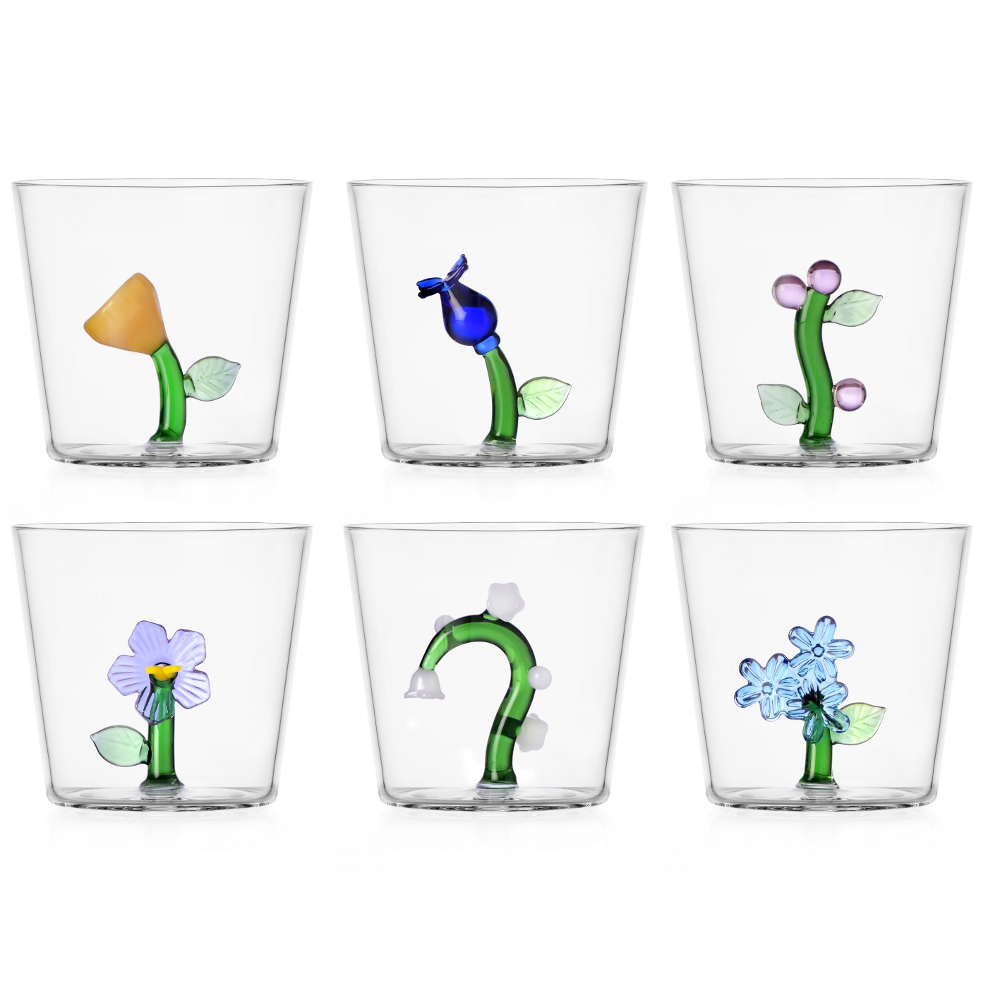 Lot de 6 verres Botanica, ICHENDORF