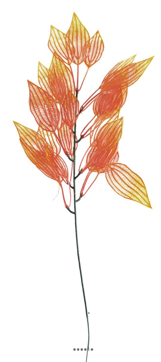 Branche de feuilles d'aponogeton fa, ARTIFICIELLES