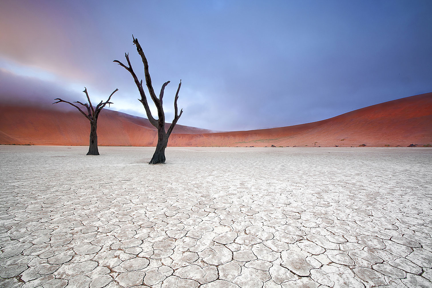 Tableau de Namibie, Le deadvlei, HEXOA