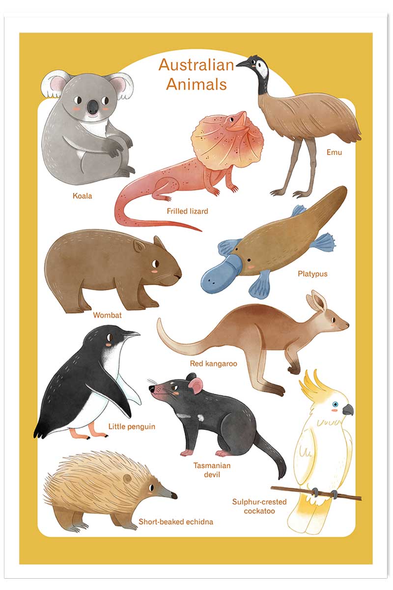 Affiche enfant animaux d' australie, HEXOA