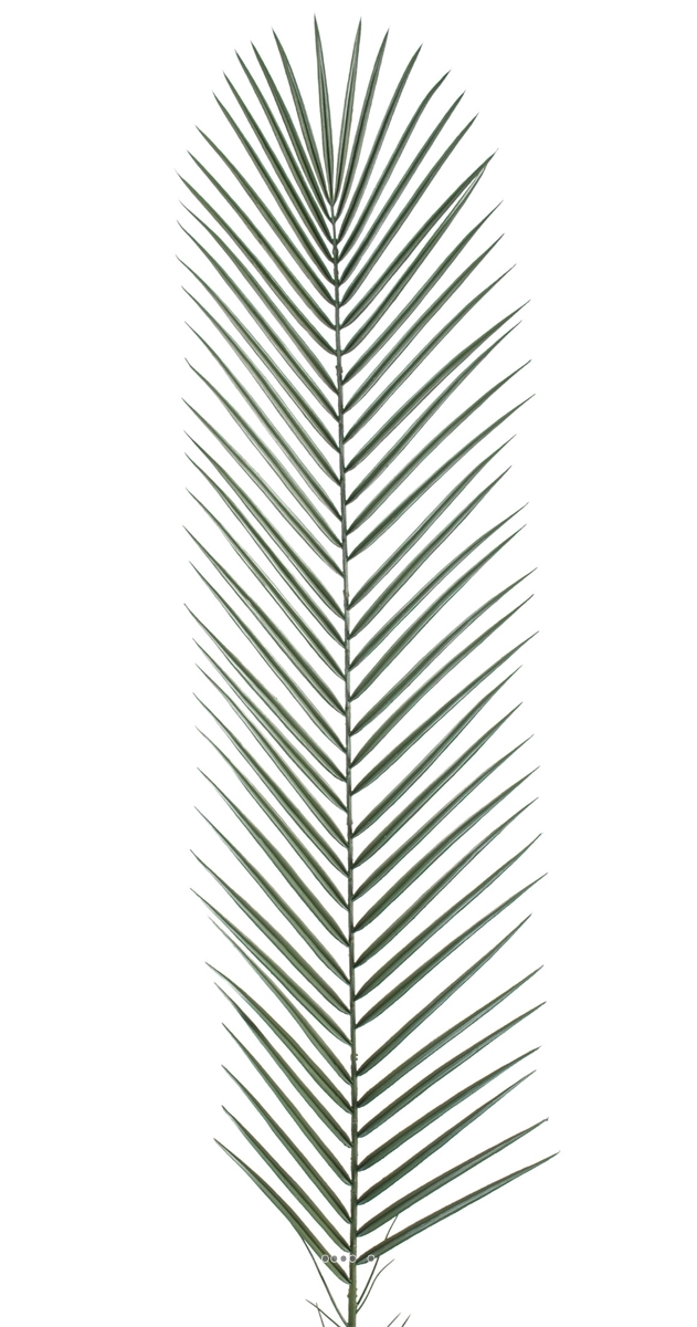 Feuille de Palmier Phoenix artificielle plast, ARTIFICIELLES