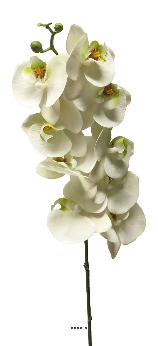 Tige orchidée phalaenopsis faux 9fleurons tou, ARTIFICIELLES