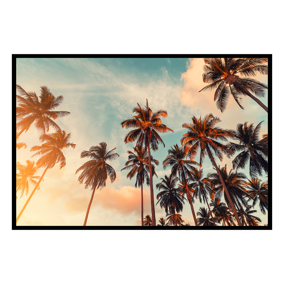 Affiche encadrée palmiers tropicaux, HEXOA