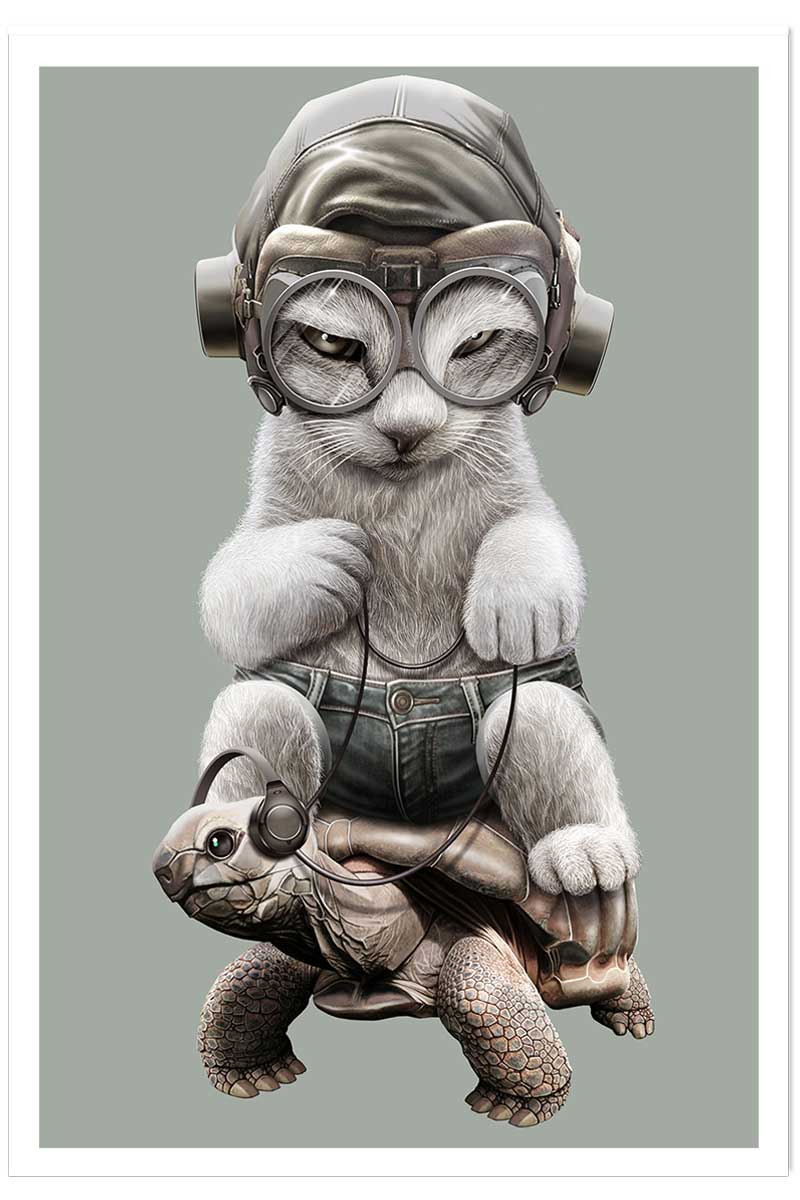 Affiche enfant chat sur une tortue, HEXOA