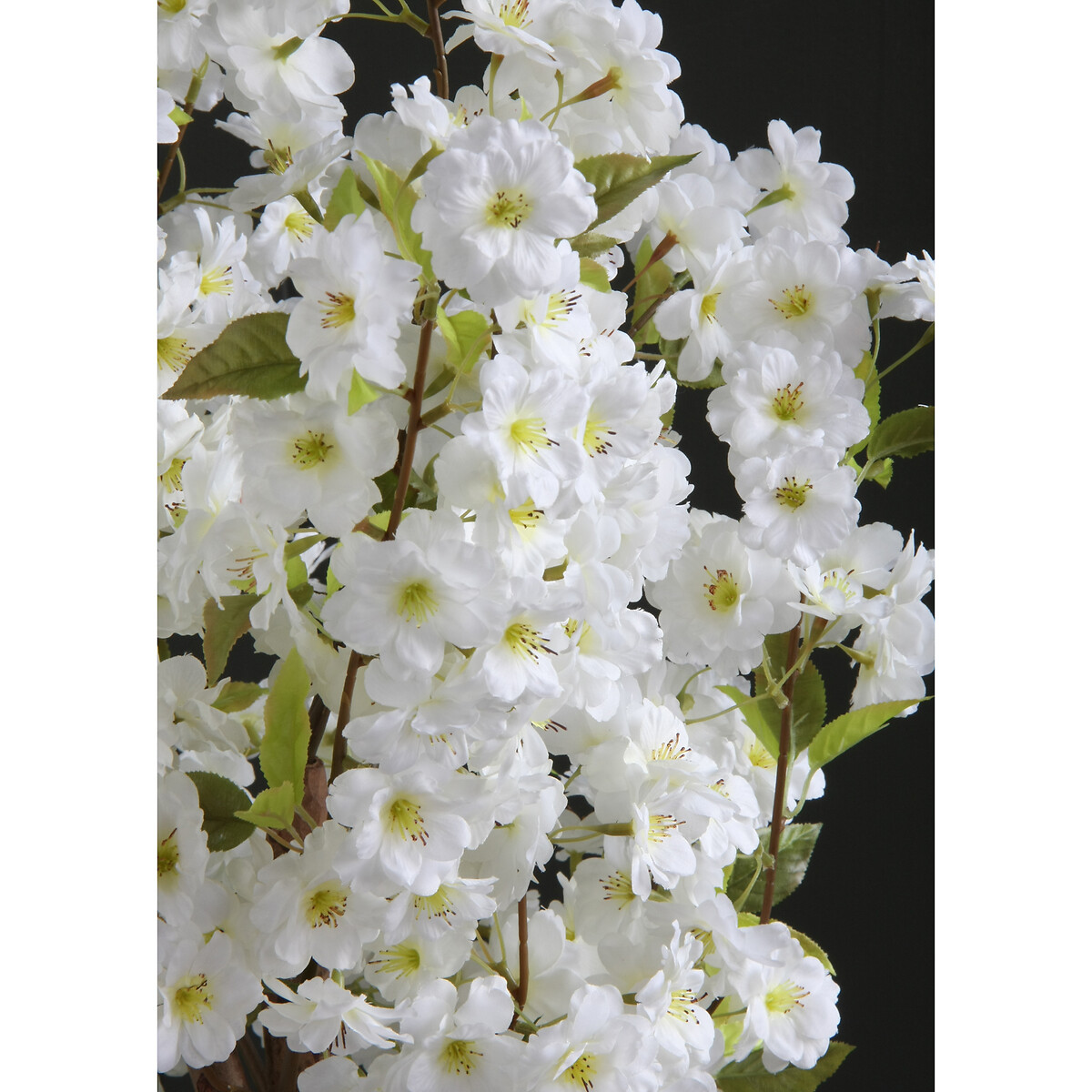Off white sales peach blossom
