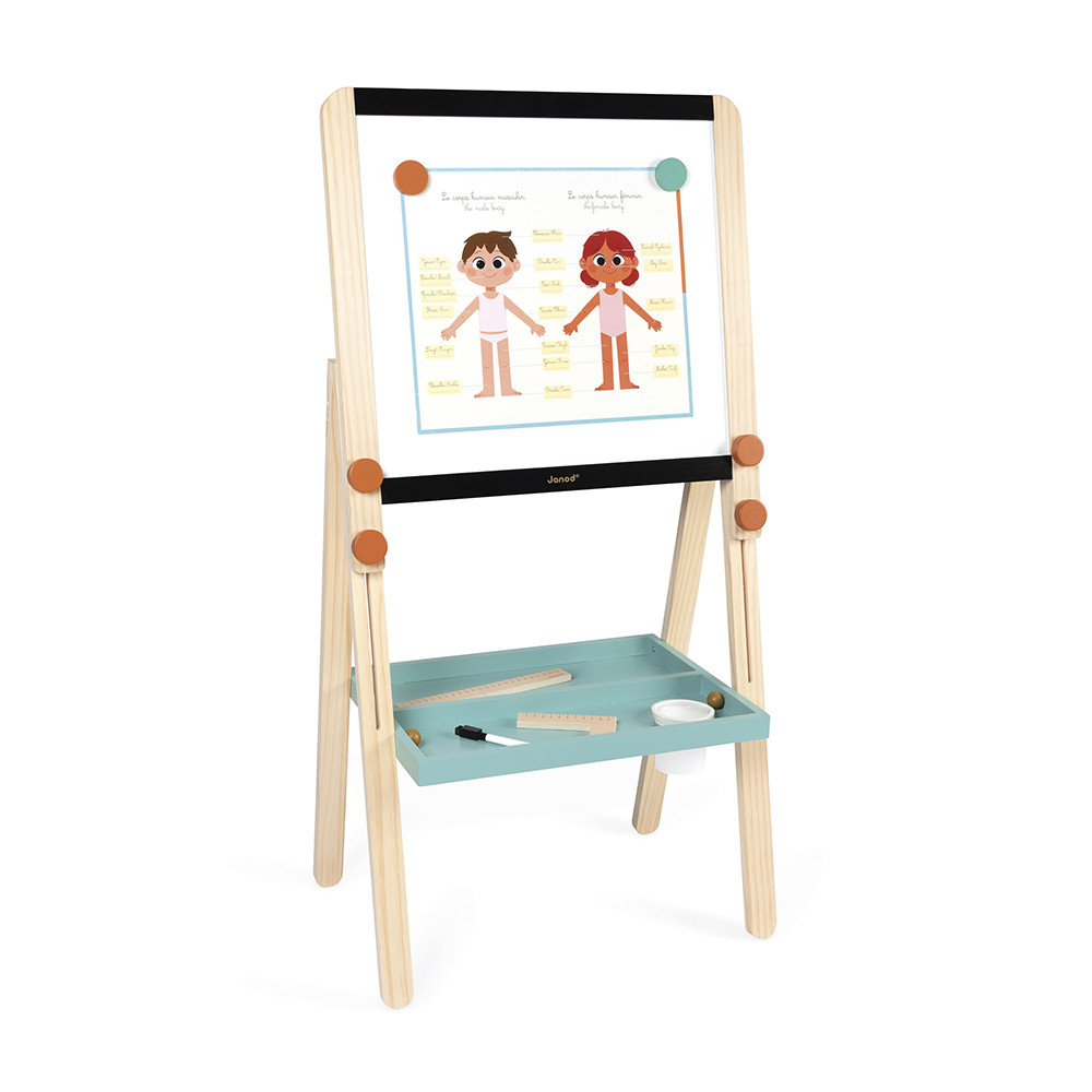 Tableau De La Maitresse Double Face En Bois, JANOD