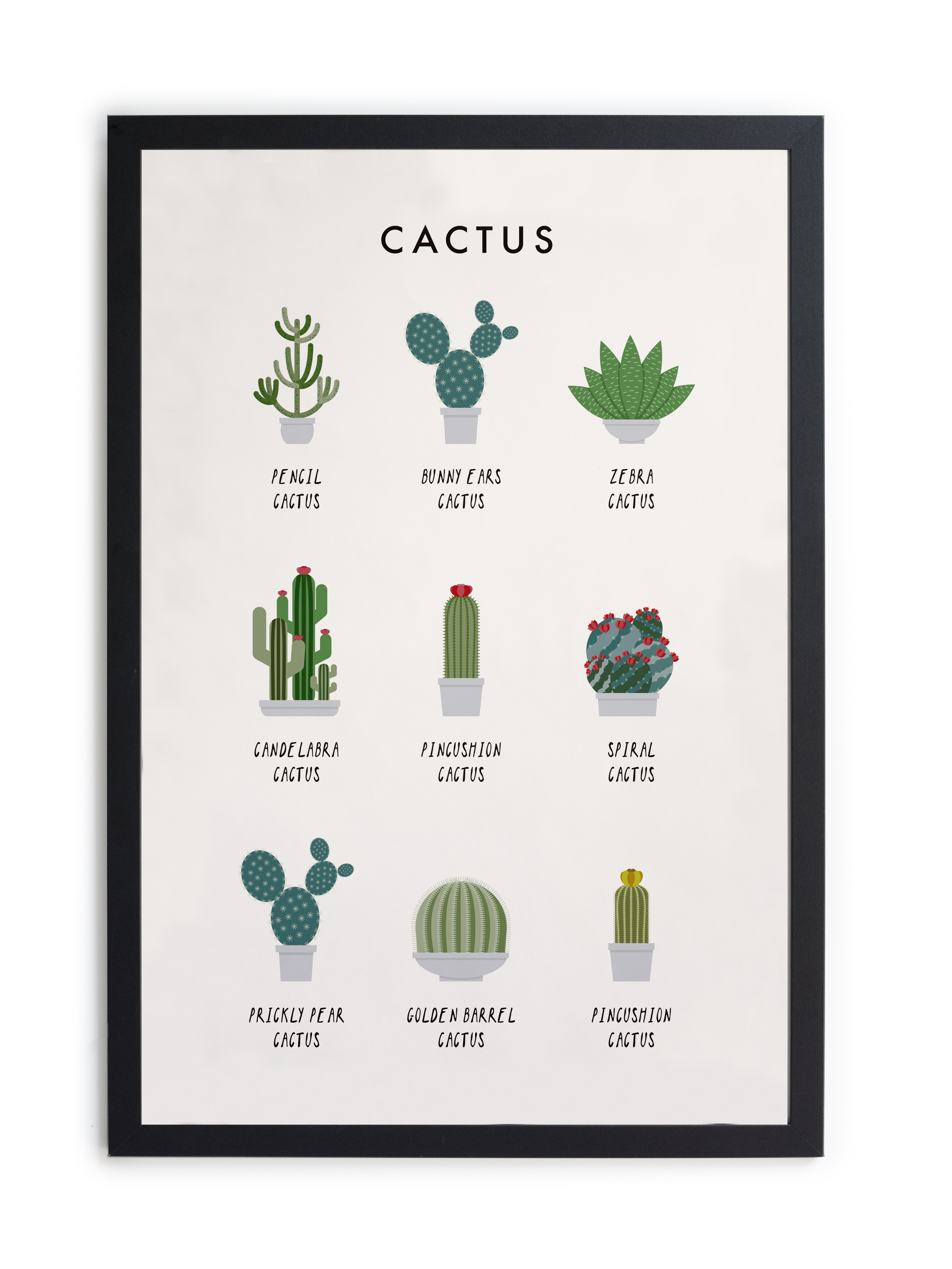 Tableau avec cadre Cactus, REALLY NICE THINGS