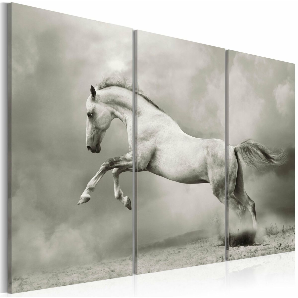 Tableau cheval en mouvement Couleur noir blanc Artgeist La Redoute