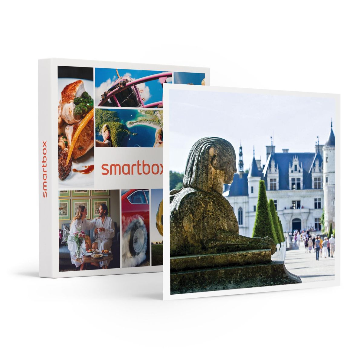 SMARTBOX - Coffret Cadeau Sortie en moto électrique pour 1 adulte et 1  enfant à Sélestat-Sport & Aventure - Coffret cadeau - Achat & prix