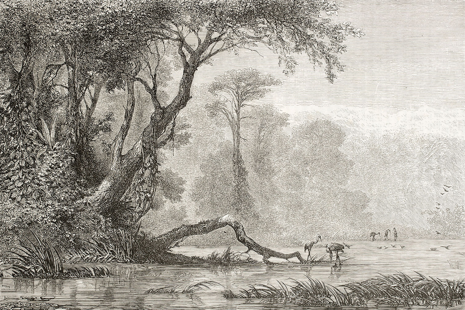 Tableau gravure les bords du fleuve, HEXOA