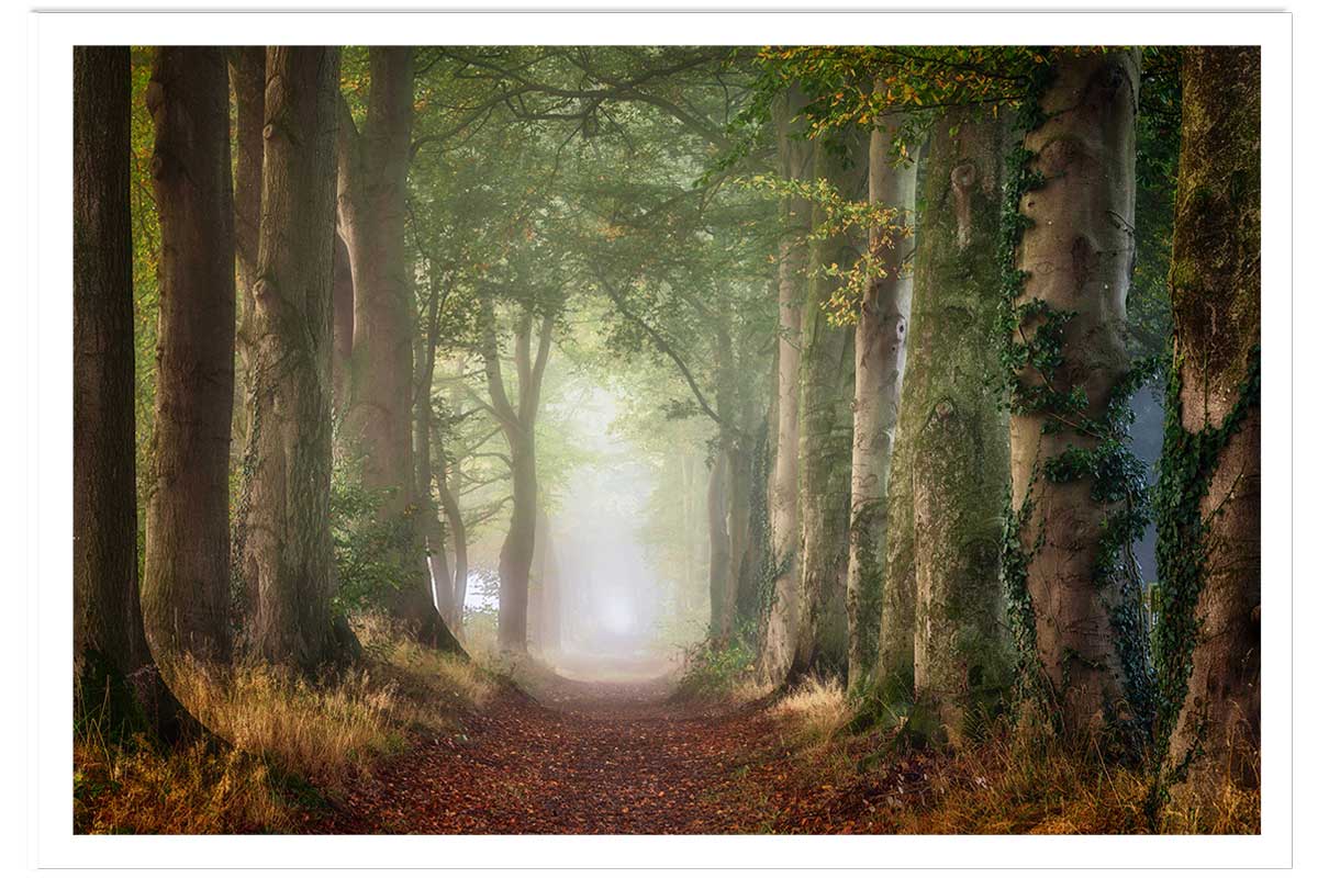 Affiche paysage sur le chemin, HEXOA