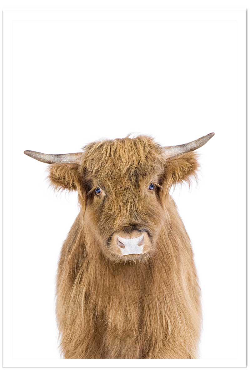 Affiche enfant bébé vache, HEXOA