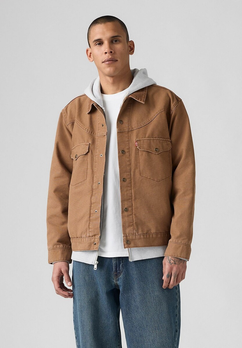Jasje western shorthorn, LEVI'S