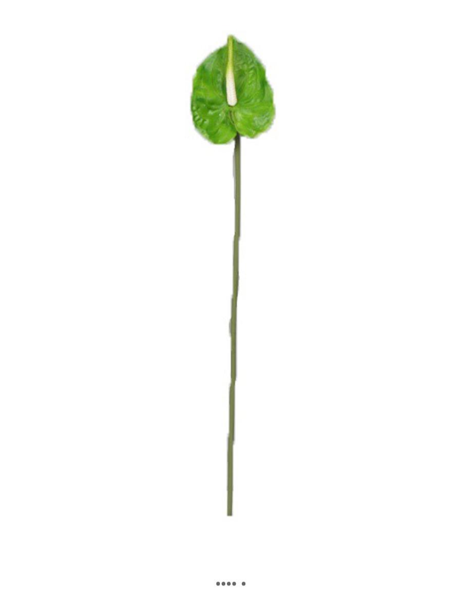 Tige Anthurium artificiel L 66 cm Vert, ARTIFICIELLES