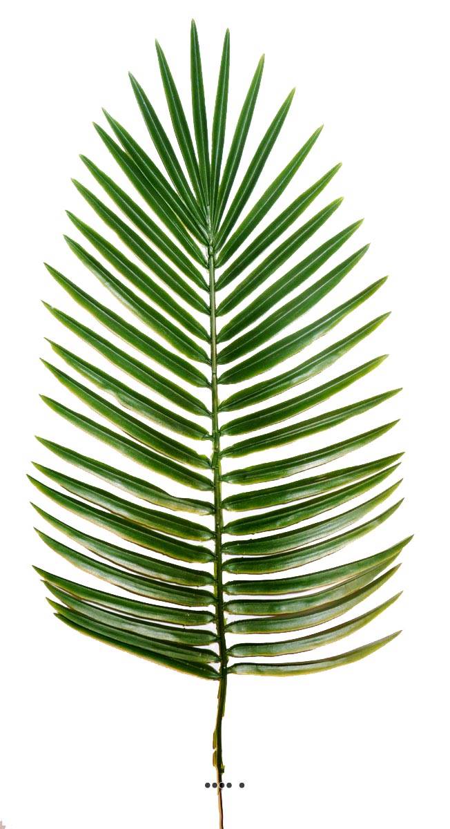 Feuille de palmier Phoenix x6 H63cm Pl, ARTIFICIELLES