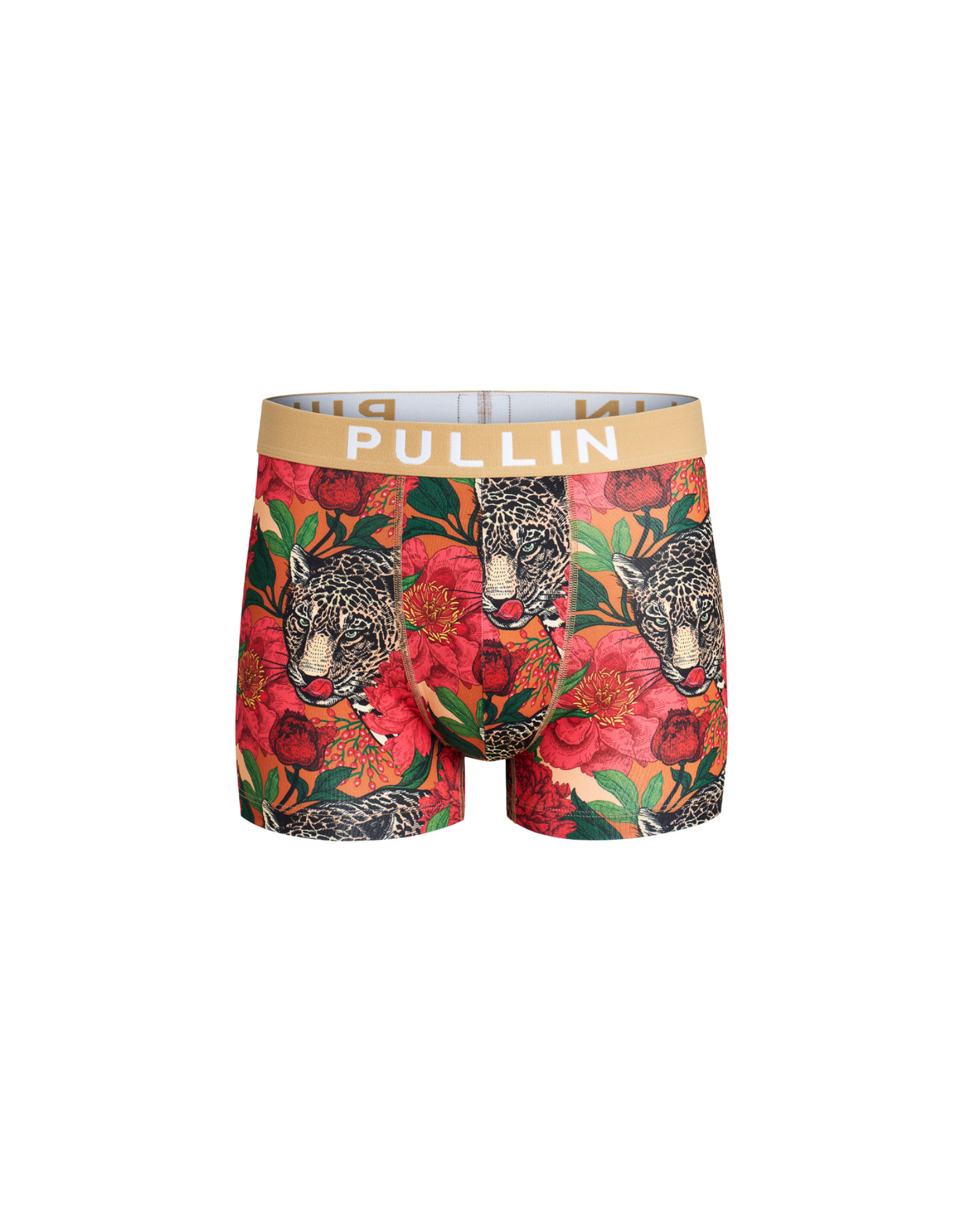 BOXER COURT BAGERA, PULLIN