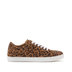 Estampado leopardo/castanho